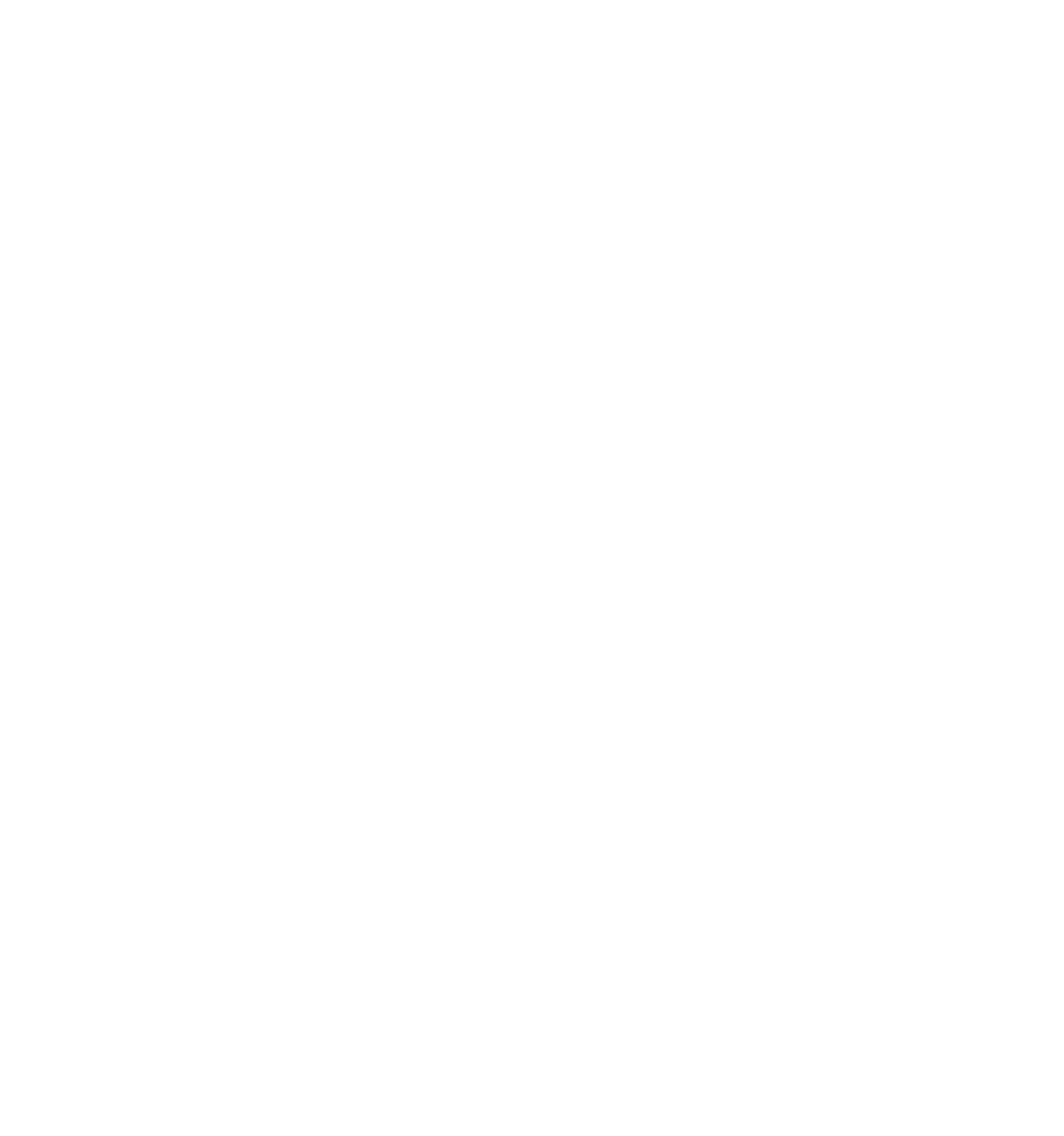 Perspectives Cyber and Technology Advisors griffin icon